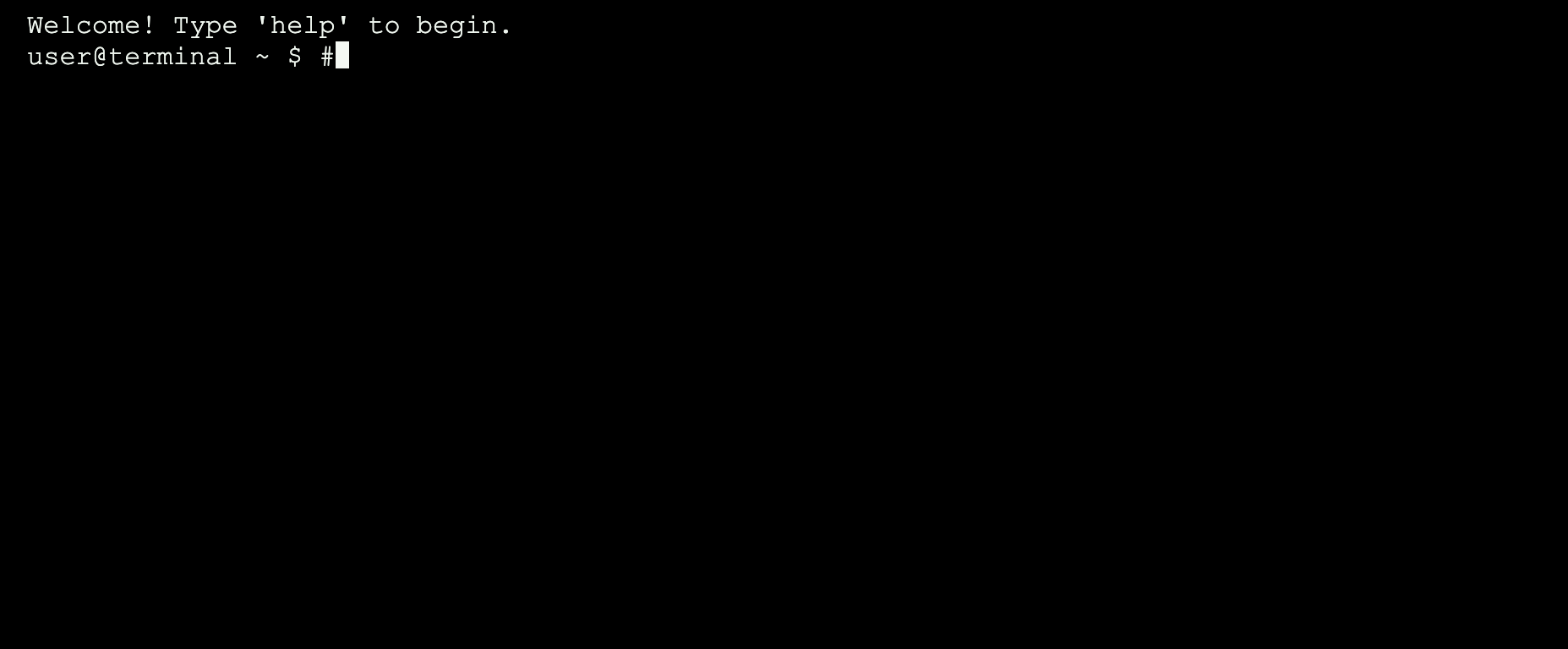 Web Terminal